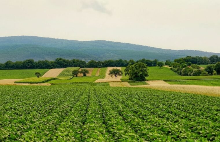 Aliare compra Agrometrika e amplia crédito no agro